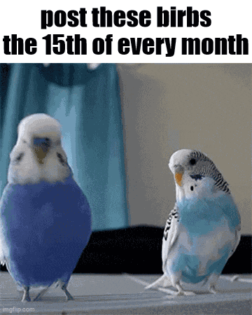 Essica Birb GIF