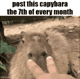 Essica Monthly GIF