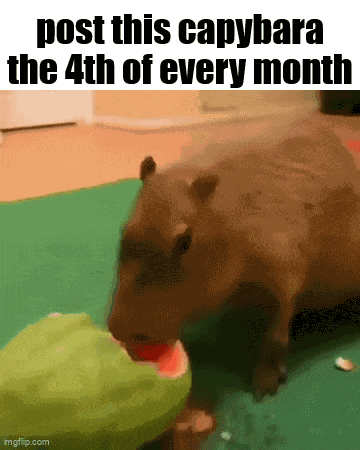 Essica Monthly GIF