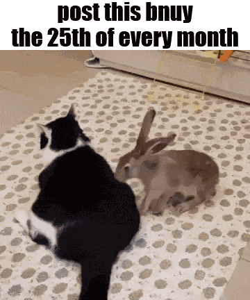 Essica Monthly GIF