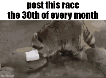 Essica Monthly GIF