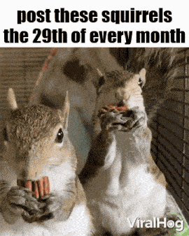 Essica Monthly GIF