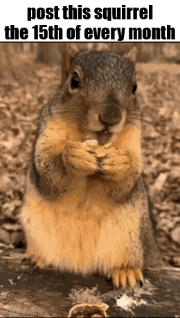 Essica Monthly GIF