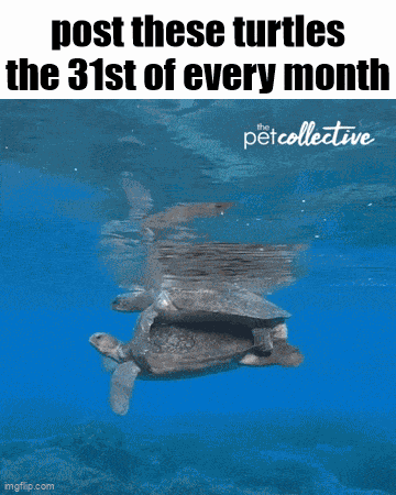 Essica Monthly GIF