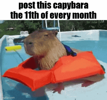Essica Monthly GIF
