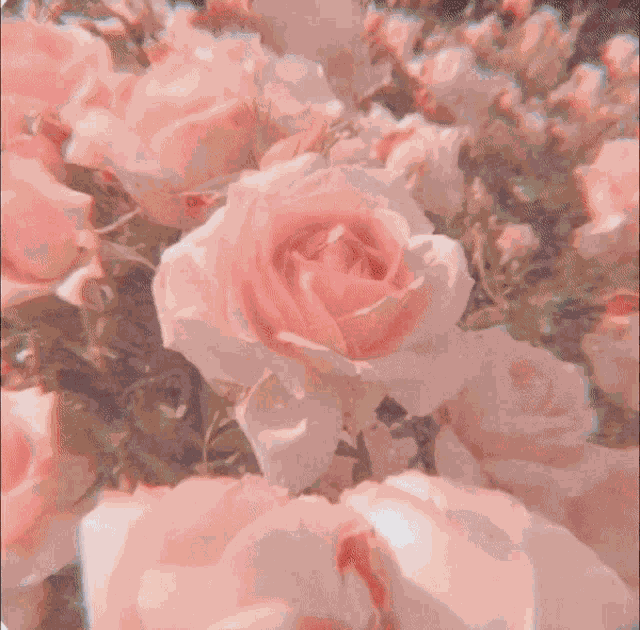 Ethereal Aesthetic GIF