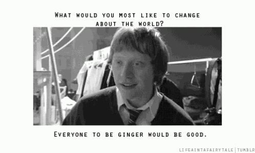 Everyone To Be Ginger Would Be Good GIF