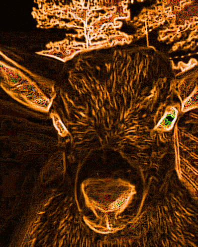 Evil Goat Laugh GIF