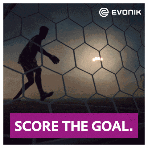 Evonik Bvb GIF