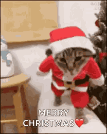 Excited GIF