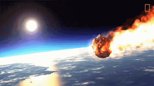 Excited GIF