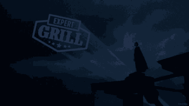 Expert Grill Expert GIF