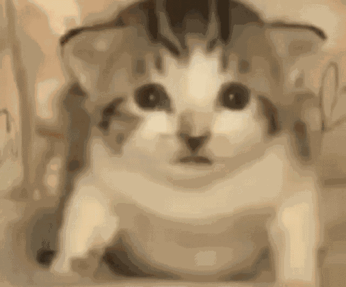 Explosion Boom GIF