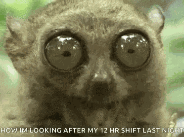 Eyes Chew GIF