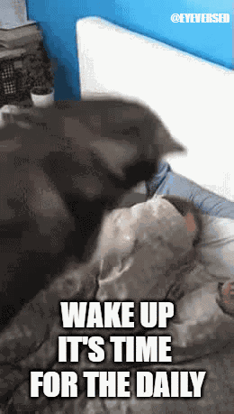Eyeverse Daily GIF