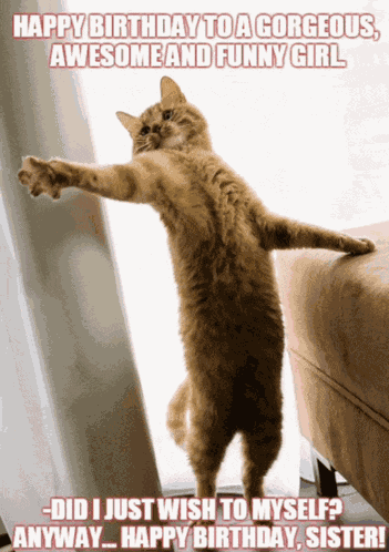 Fabulous Cat Birthday Meme