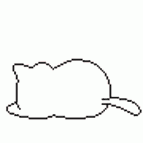 Facepalm Cat GIF