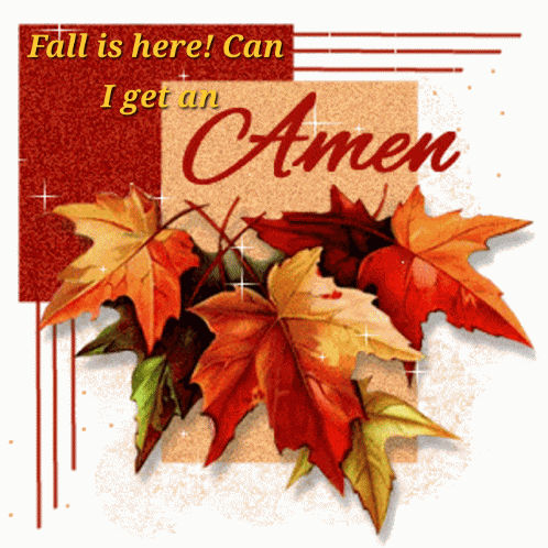 Fall Fall Is Here GIF