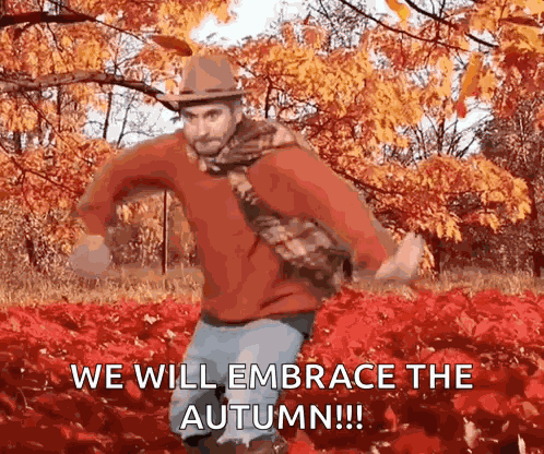 Fall Girl Fall Girl Aesthetic GIF
