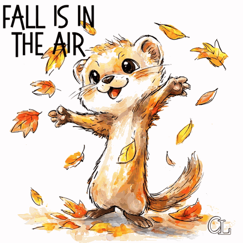Fall Is In The Air Fall Air GIF