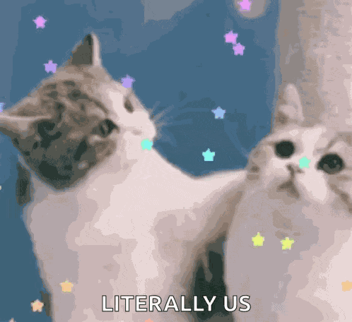 Falling Stars Cutecore GIF