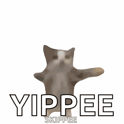 Fast Cat Cat Excited GIF