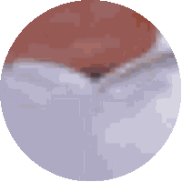 Fat Bastard Shitter Sticker