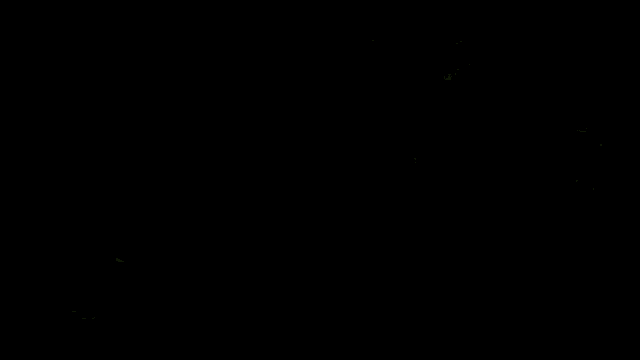 Fbi Open Up Caught GIF