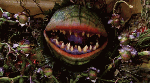 Feed Little GIF