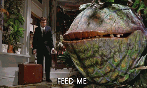Feed Me GIF