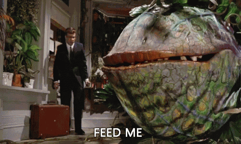 Feedmeseymour Little Shopof Horrors GIF