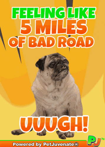 Feel Ill Feeling Ill GIF