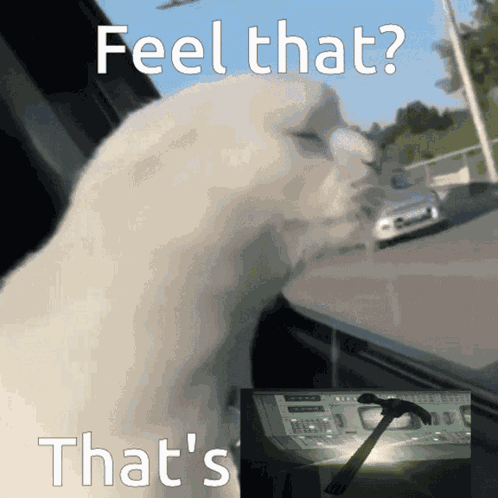 Feel That Feel That Thats True GIF