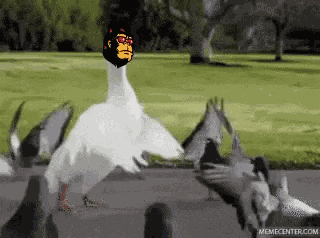 Feg The World Tha Gunnaz GIF