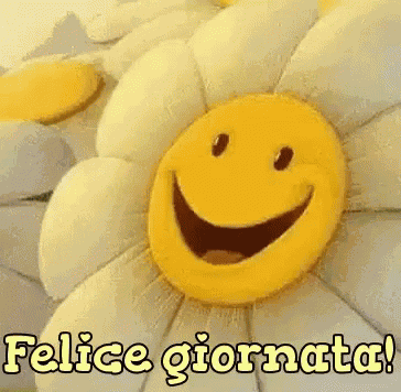 Felice Giorno Buon Giorno Buona Giornata A Tutti Buongiorno Svegliarsi Buondì GIF