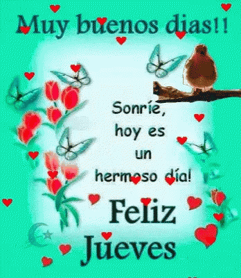 Felicidades Muy Buenos Dias GIF