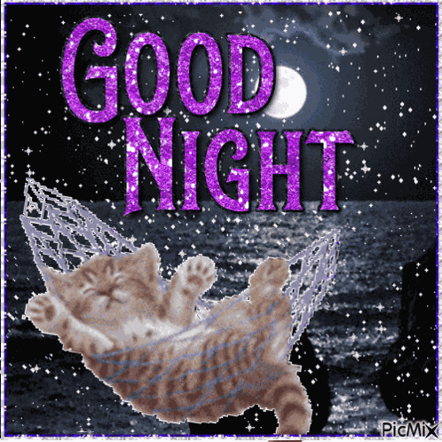 Felipe614 Good Night GIF