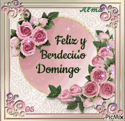Feliz Bendecido Domingo GIF