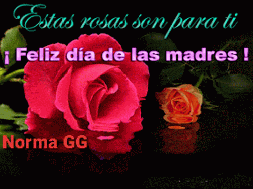 Feliz Dia De Las Madres Happy Mothers Day GIF