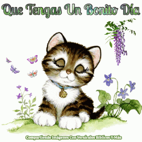Feliz Dia Que Tengas Un Bonito Dia GIF