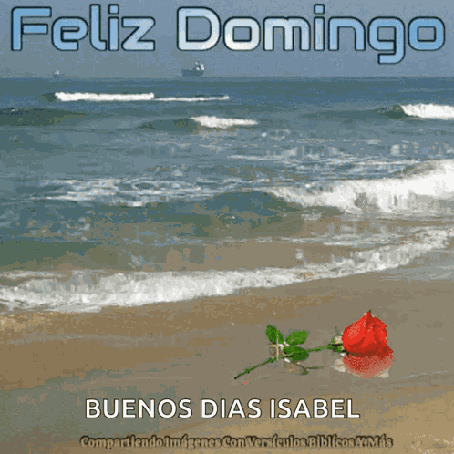 Feliz Domingo Feliz Dia GIF