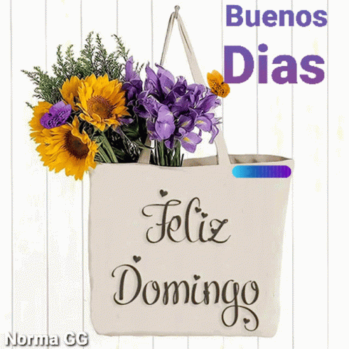 Feliz Domingo Happy Sunday GIF