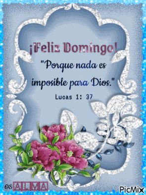 Feliz Domingo GIF