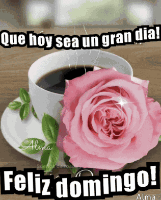 Feliz Domingo GIF