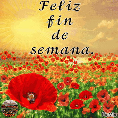 Feliz Fin De Semana GIF