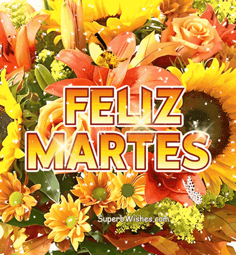Feliz Martes GIF