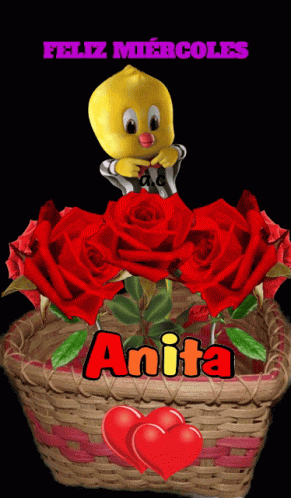Feliz Miércoles GIF