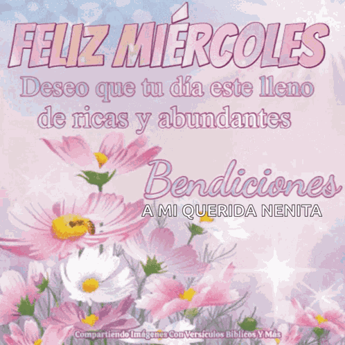Feliz Miercoles Bendiciones GIF