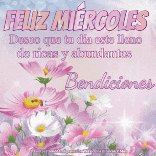 Feliz Miercoles Bendiciones GIF