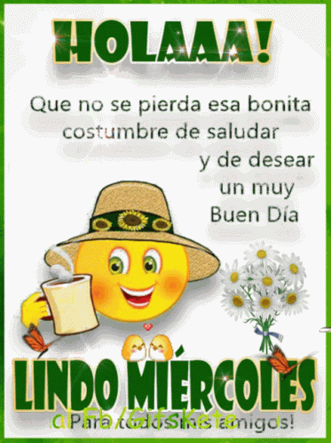 Feliz Miercoles Buenos Dias GIF